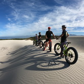 Ocean views, whales and fun on the sand - Fatbike Tours - Xplorioâ„¢ Gansbaai