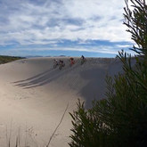 Fun on the dunes - Fatbike Tours - Xplorioâ„¢ Gansbaai