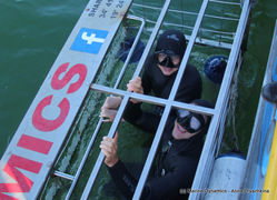 Daily Blog: 25 May 2021 | Shark Cage Diving in South Africa