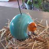 Birdfeeders - Lili & Co - Xplorioâ„¢ Kleinmond