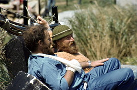 Injury on Gough Island