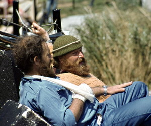 Injury on Gough Island