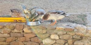 WhatsApp_Image_2021_06_03_at_09.12.04_1622709473