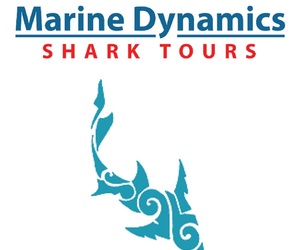 9 June 2021: Next Marine Dynamics Shark Cage Diving Tour