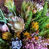 Flowers - Lili & Co - Xplorioâ„¢ Kleinmond