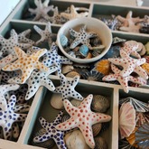 Ceramics - Lili & Co - Xplorioâ„¢ Kleinmond