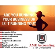 Consult a professional business accountant!