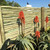 Lathe Privacy Barrier Extensions - The Beach House Hub - Xplorioâ„¢ Gansbaai