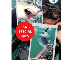 16 June 2021: Next Marine Dynamics Shark Cage Diving Tour