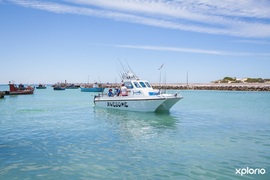 Find Things to Do in the Cape Agulhas Region on Xplorio!