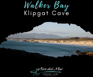 Walker BayÂ Klipgat Cave