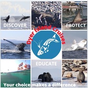 19 + 20 June 2021: Next Dyer Island Marine Big 5 Trip