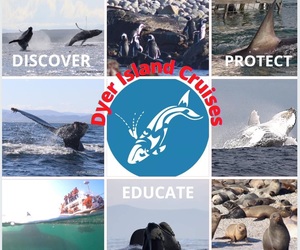 19 + 20 June 2021: Next Dyer Island Marine Big 5 Trip