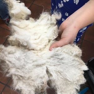 WhatsApp_Image_2021_06_23_at_11.35.44_1624441166