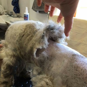 WhatsApp_Image_2021_06_23_at_11.36.45_1624441165