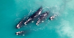 Explore the Southernmost Towns in Africa this Winter