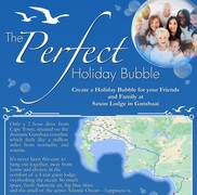 The Perfect Holiday Bubble