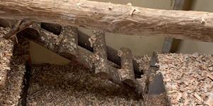 WhatsApp_Image_2021_07_01_at_10.14.13_1625132554