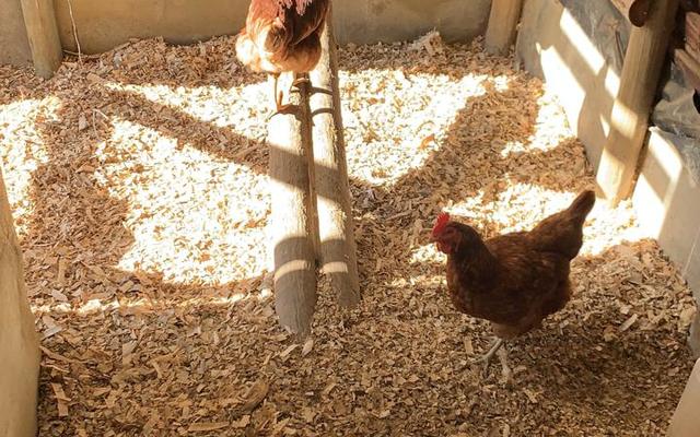 WhatsApp_Image_2021_07_01_at_10.14.13_1_1625132554