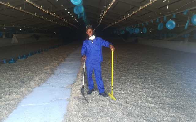 WhatsApp_Image_2021_07_01_at_10.31.20_1625132553