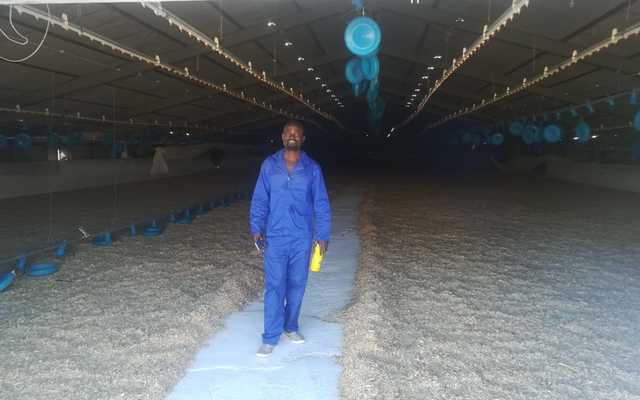 WhatsApp_Image_2021_07_01_at_10.31.21_1625132555