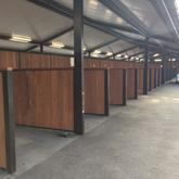 Spalted - Auckland Racecourse - Xplorioâ„¢