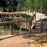 Spalted - Decking at the dock 2 - Xplorioâ„¢ Gansbaai