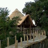 Spalted - Decking at the lodge - Xplorioâ„¢ Gansbaai