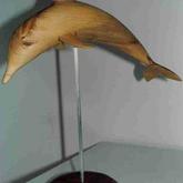 Spalted - Wooden Dolphin - Xplorioâ„¢ Gansbaai
