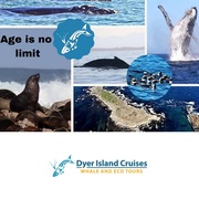 Next Dyer Island Marine Big 5 Trip: 6 July 2021