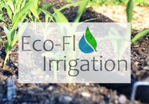 Top 7 Vegetables to Grow Over Winter 