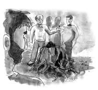 Welwitschia Mirabilis