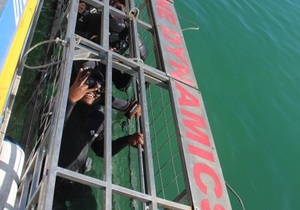 Daily Blog: 06 July 2021 | Shark Cage Diving in South Africa