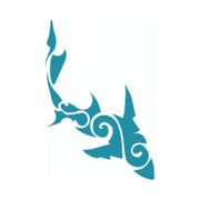 Next Marine Dynamics Shark Cage Diving Trip: 15 July 2021