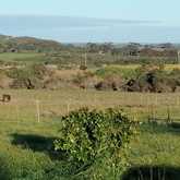 Kids Feeding the Donkeys - Rusthof Accommodation - Xplorioâ„¢ Gansbaai