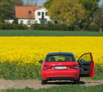 Little Red Riding Hood