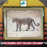 Frame - M + S Designs - Xplorioâ„¢ Gansbaai