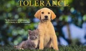 Hedonisme teenoor Bybelse vreugde; verdraagsaamheid teenoor onverdraagsaamheid