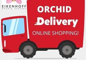 We Courier Nationwide!