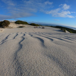 Amazing dunes