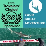 Next Marine Dynamics Shark Cage Diving Trip: 23 July 2021