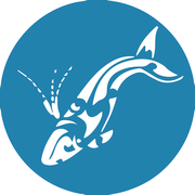 Next Dyer Island Marine Big 5 Tour: Saturday, 24 July 2021