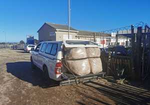 Dry Shavings Delivery