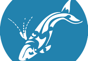 Next Dyer Island Marine Big 5 Tour: Saturday, 30 July 2021