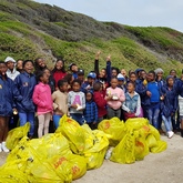 Educational Clean Up - Dyer Island Conservation Trust - Xplorioâ„¢ Gansbaai 
