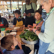 The Butterfly Centre Supporters Update July 2021