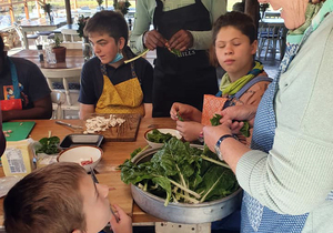 The Butterfly Centre Supporters Update July 2021