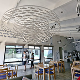 African Penguin & Seabird Sanctuary - Xplorioâ„¢ Gansbaai 