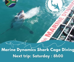 Next Marine Dynamics Shark Cage Diving Trip: 31 July 2021