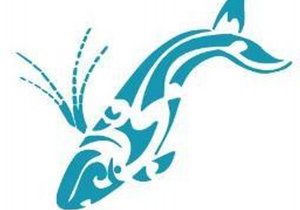 Next Dyer Island Marine Big 5 Tour: Saturday, 31 July 2021